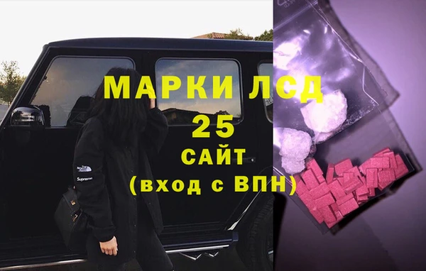 хмурый Липки