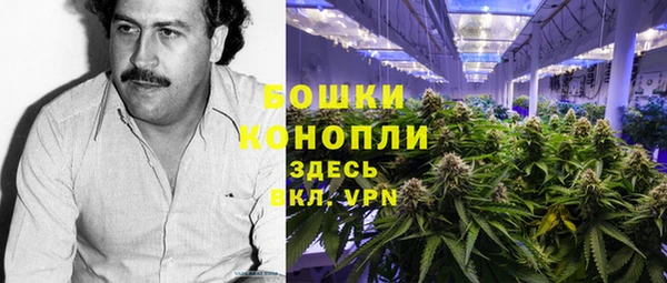 шишки Лихославль