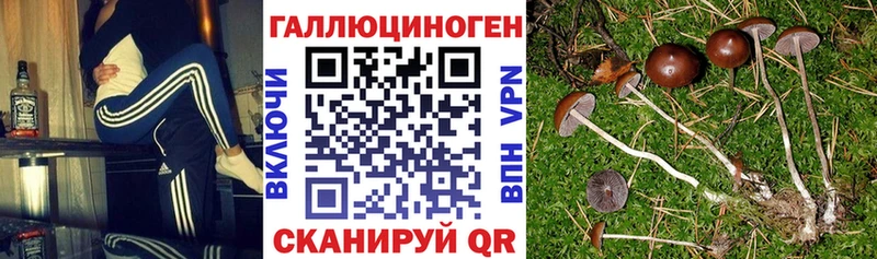 Галлюциногенные грибы мухоморы  Белокуриха 