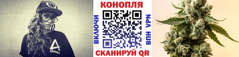 Конопля гибрид  Белокуриха 